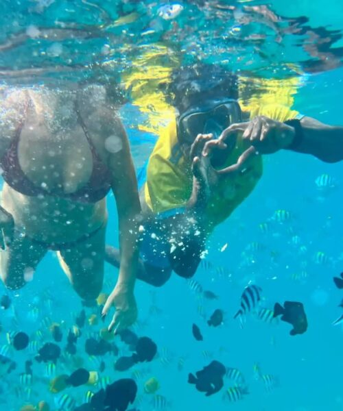 Mnemba Island Dolphins & Snorkeling Tour Mnemba Island dolphin and snorkeling tour in Zanzibar