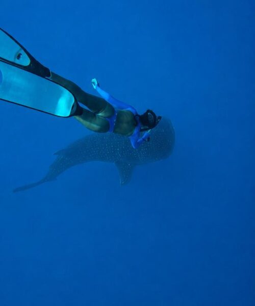 IMG-20260710-WA0013