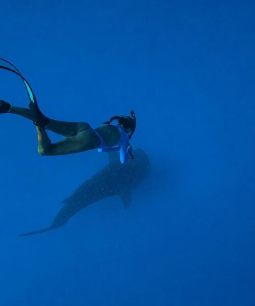 IMG-20260710-WA0014