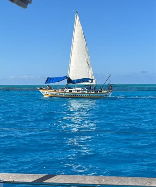 IMG-20260715-WA0002