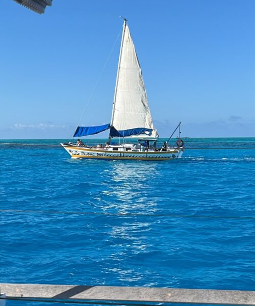 IMG-20260715-WA0019
