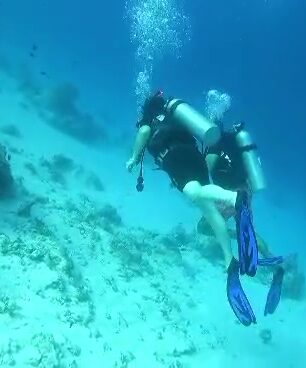 VID-20260718-WA0000.mp4_20260726_205717.836